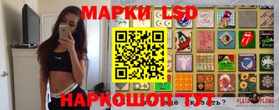 гидропоника Будённовск