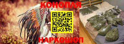 гидропоника Будённовск