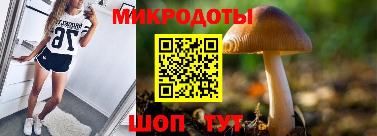 Галлюциногенные грибы Magic Shrooms Сунжа