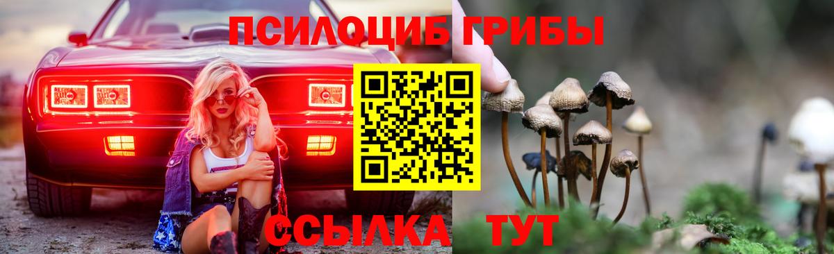 Сунжа  Галлюциногенные грибы Cubensis  Вход с VPN  Псилоцибиновые грибы GOLDEN TEACHER 